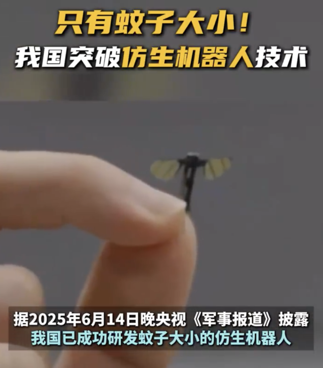 我國成功研發(fā)蚊子大小仿生機(jī)器人
