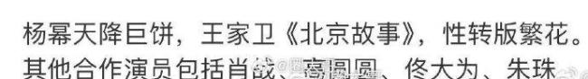 楊冪王家衛(wèi)合作《北京故事》，肖戰(zhàn)高圓圓朱珠加盟