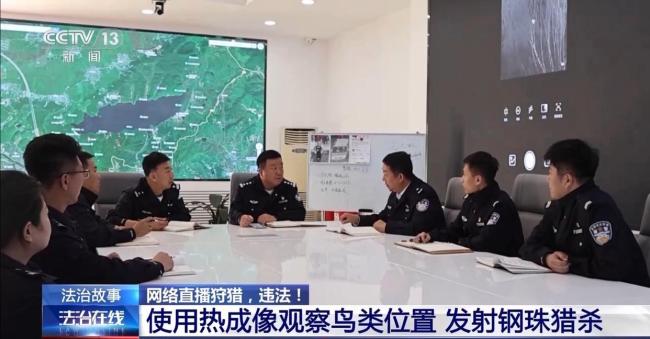 主播直播猎鸟被警方抓获 非法狩猎链条曝光