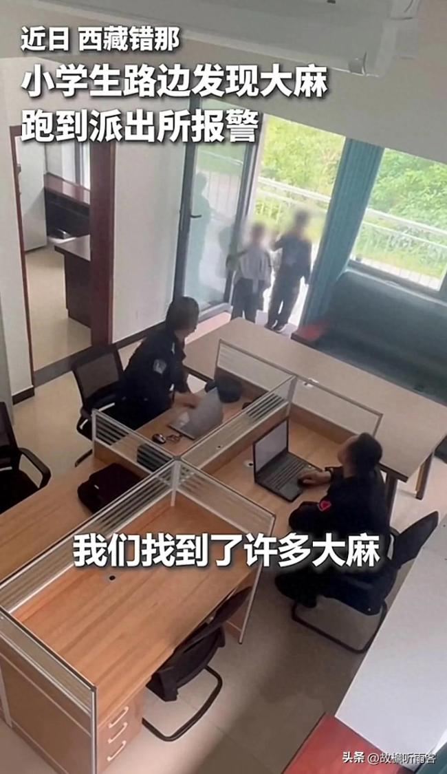小学生识别出大麻及时报警！