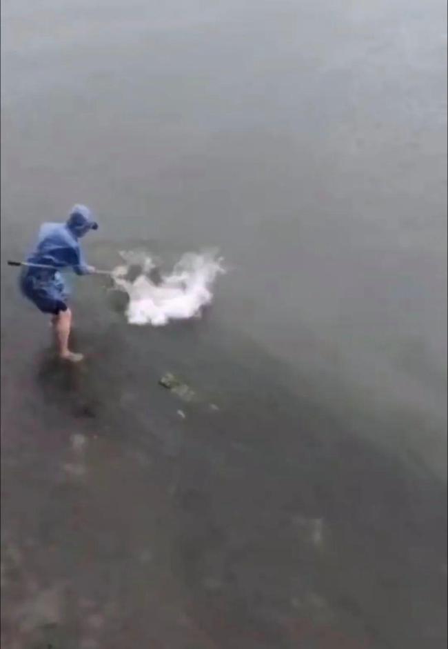 男子暴雨釣上72斤石斑魚3000元賣出 網(wǎng)友炸鍋了