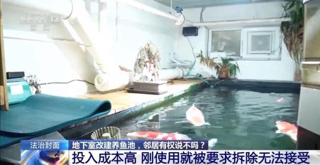 北京一男子将地下室改成锦鲤池，楼上邻居要求彻底拆除 养鱼池引发邻里纠纷
