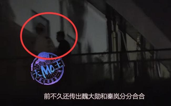 魏大勋秦岚没分手 恋情稳定获认可