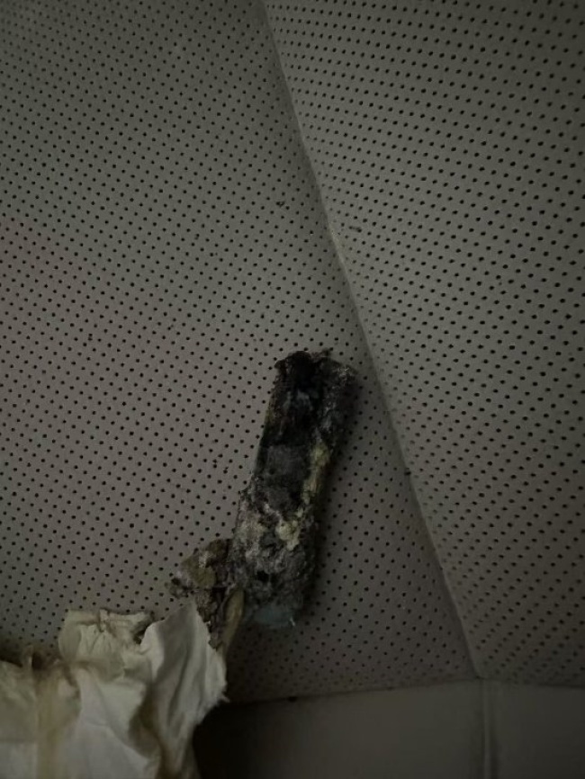 理想MEGA起火事件 原因待查引争议