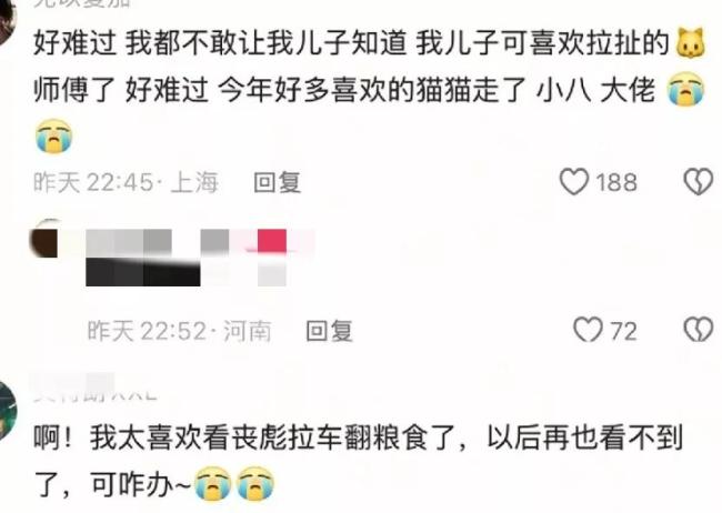 会拉车的网红猫“丧彪”中毒死亡 赵朔评论区留言：养猫好难