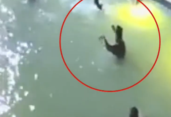 印度一男子泳池派對(duì)溺水身亡：在水中撲騰試圖自救近2分鐘,！