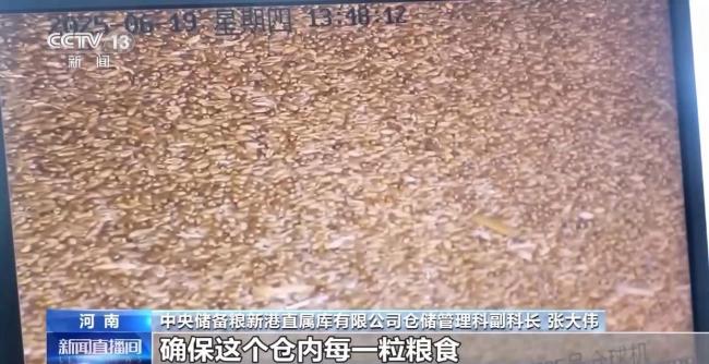“黑科技”升級(jí)糧食“住”進(jìn)好房子 智能倉(cāng)儲(chǔ)守護(hù)糧食安全