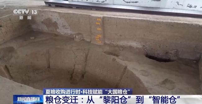 “黑科技”升级粮食“住”进好房子 智能仓储守护粮食安全