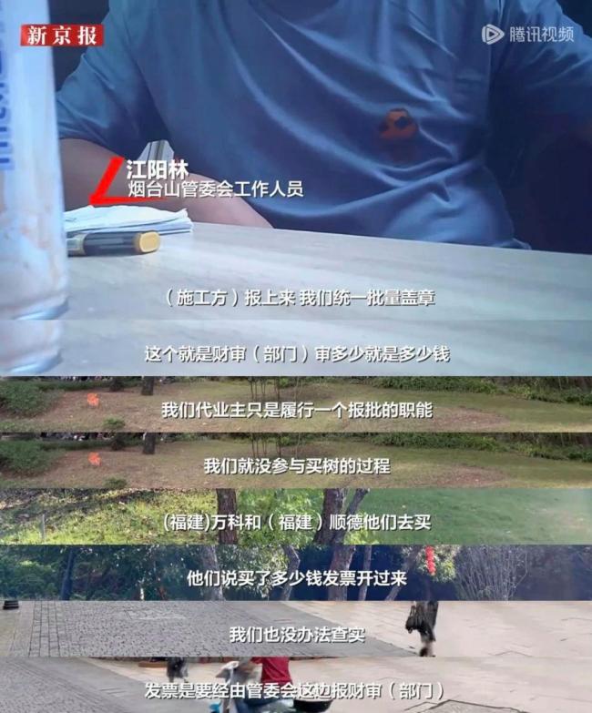 福州烟台山公园已有多棵天价树死亡 景区改造绿化项目引争议
