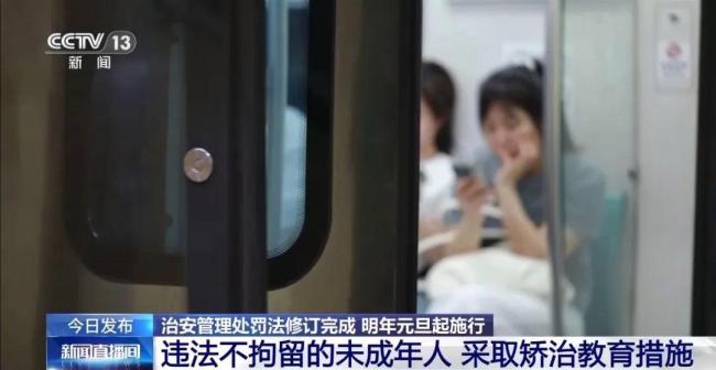 明年起寵物傷人可直接治安處罰 新規(guī)提升公共安全
