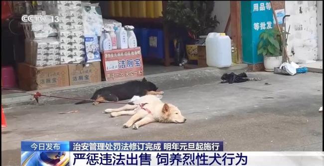 新法明確正當(dāng)防衛(wèi)免罰 新規(guī)元旦起施行