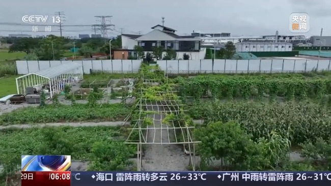 变"废"为宝！海洋垃圾制衣、"污水"冲咖啡都实现了