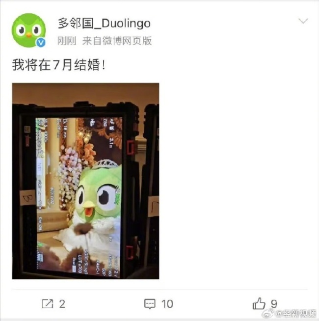多鄰國貓頭鷹官宣結(jié)婚 多兒鳥生進(jìn)度條已拉滿