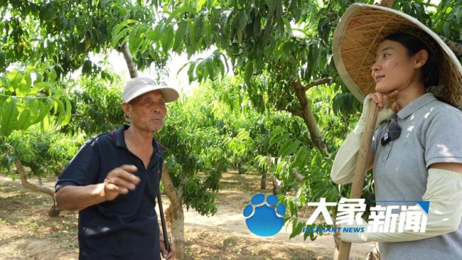 河南27岁“卖菜西施”吸粉超600万 乡音响彻太行山下