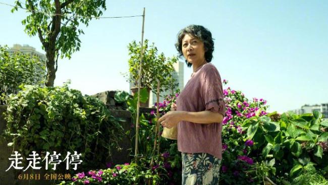 宋佳導協年度女演員提名！中國電影導演協會公布“2024年度榮譽”提名名單