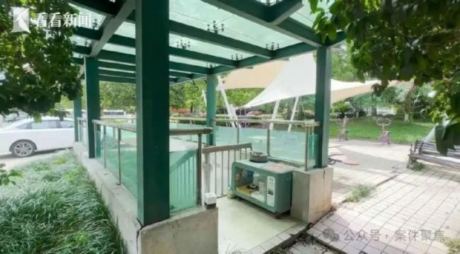 上海“街猫”智能猫屋引发争议 科学管理待探讨