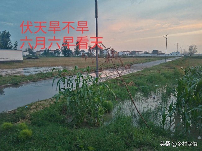 “伏天旱不旱,，六月六早看天”,，今年伏天會(huì)旱嗎,？
