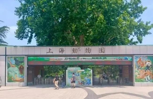 父母喂10月龄婴儿喝奶瓶被赶，上海动物园道歉