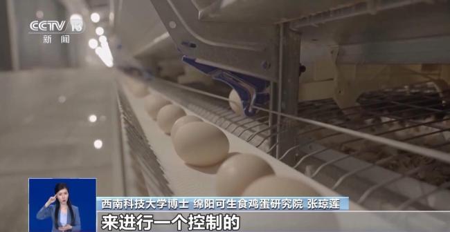 央视揭秘无菌蛋真相，“无菌蛋”真的无菌吗？ 商家宣传背后的真相