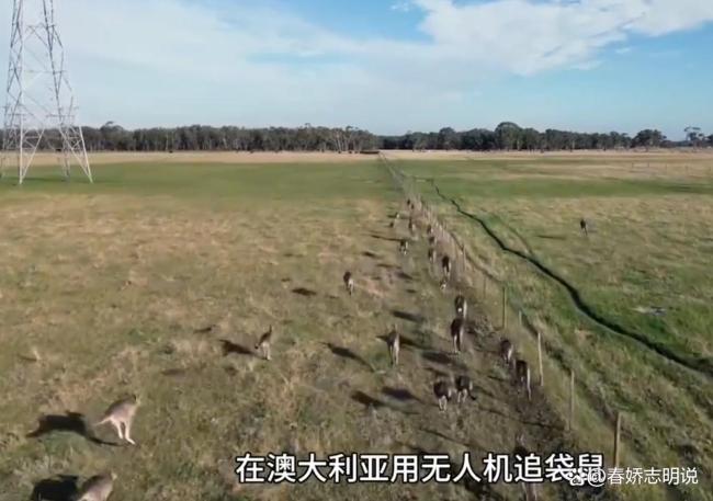 父母花50万带5岁儿子骑游41国 英语零进步引争议-晚晚直播卖卷发棒翻车 操作失