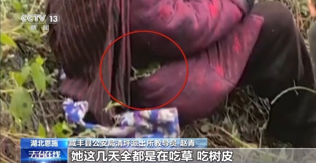 吃野草喝河水苦熬6天 阿爾茨海默病老人深山獲救