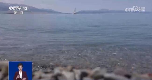 赛里木湖上的黄色泡沫原来是花粉海 独特景观揭秘