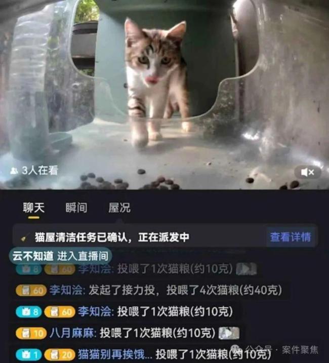 上海不少小区出现这种绿箱子 智能猫屋引发热议