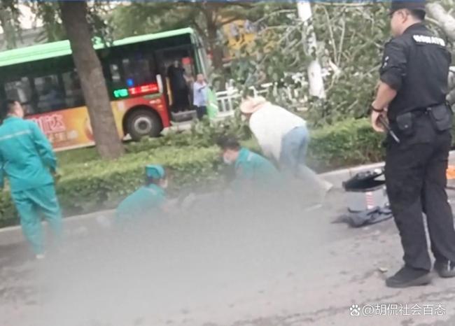 大樹(shù)被狂風(fēng)連根吹倒 女子被砸身亡