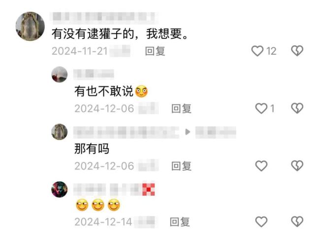 杀野猪让人流连忘返 猎人与狗的“战斗”直播