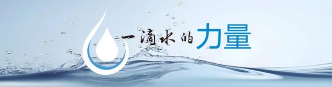 網(wǎng)紅月餅帶出“芝麻開門”
