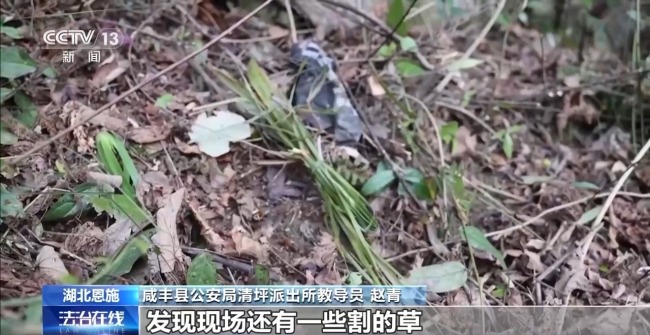 吃野草喝河水苦熬6天 阿尔茨海默病老人深山获救