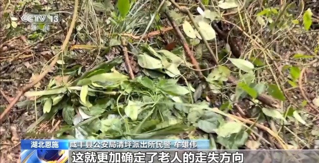 吃野草喝河水苦熬6天 阿尔茨海默病老人深山获救