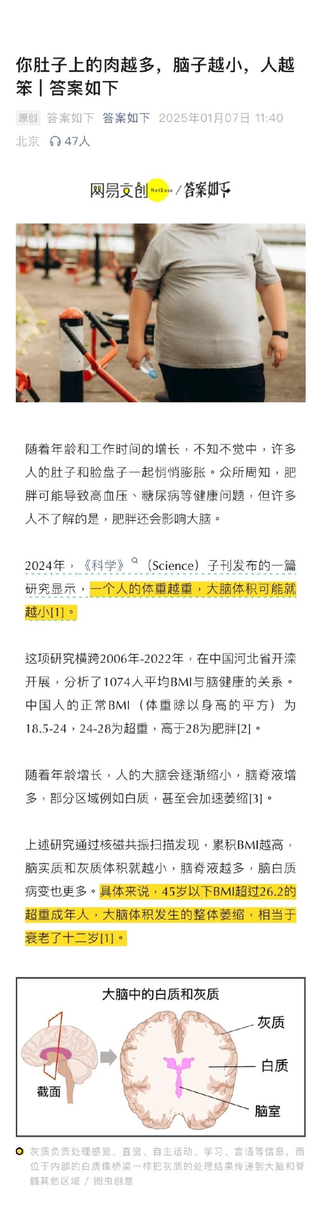 原来肥胖真的会让人变笨 研究显示体重越高大脑越小 