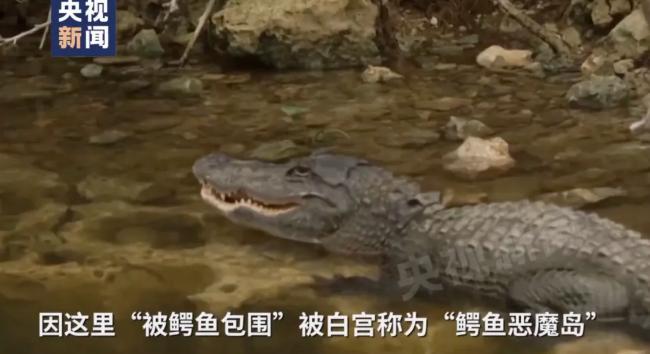 特朗普修的鳄鱼岛监狱有多离谱 选址震慑越狱者