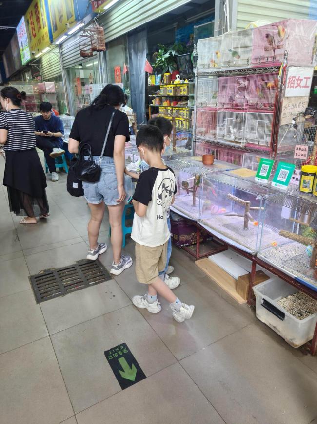 “活潮玩”流行 鸚鵡飛入年輕生活圈 互動(dòng)寵物新寵兒