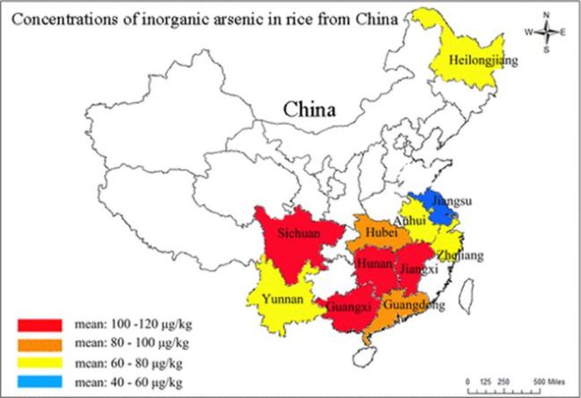 米飯之惑：比“新米陳米”更應(yīng)關(guān)注的是砷,！你知道怎么給米飯解毒嗎？ 健康干飯的減毒要訣