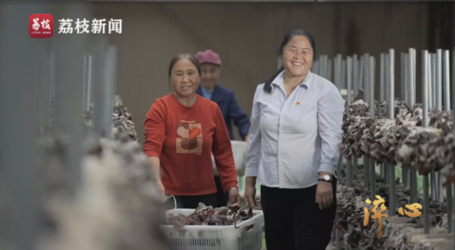 微紀錄片《淬心》第二集 | 以百姓心為心