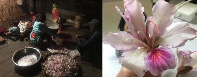 18岁嫁到中国的缅甸新娘：洗衣做饭，收割种植，再次怀孕