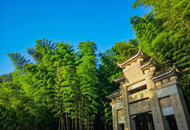 一座自帶“電影濾鏡”的城市 重慶也太出片了