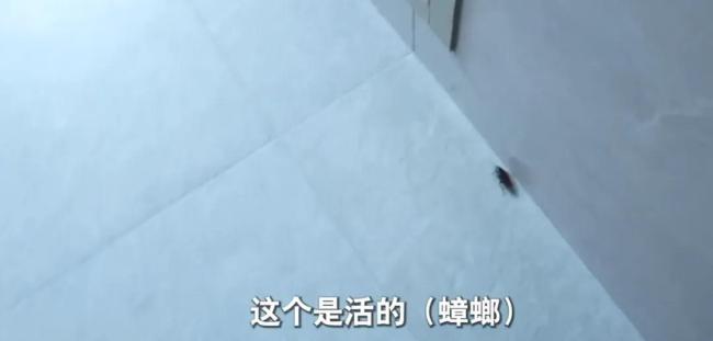 上海阿姨花200萬(wàn)網(wǎng)購(gòu) 堆滿2套房 鄰居苦不堪言