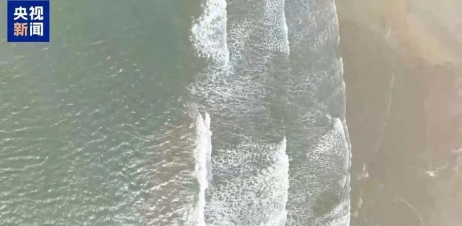 暑假开启，小海鲜伤人事件频发！赶海防护必看