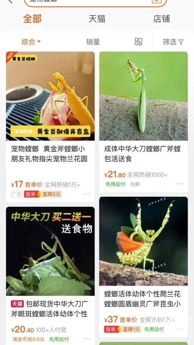 業(yè)主錯殺鄰居所養(yǎng)的寵物螳螂 鄰里因異寵起爭執(zhí)