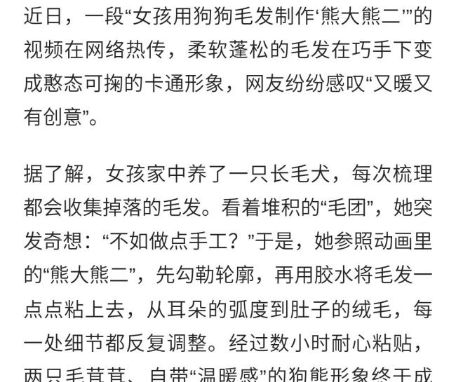 暖心創(chuàng)意！女孩用狗狗毛發(fā)粘出“熊大熊二”走紅！