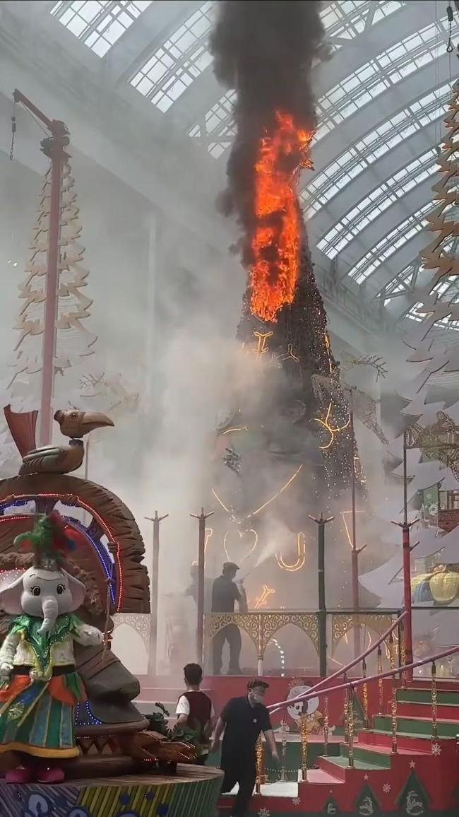 寧波一樂園裝飾樹起火：全額退款 園方已處理退票