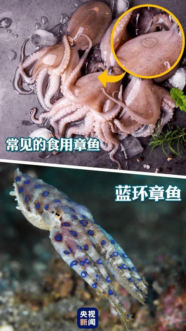 實(shí)用轉(zhuǎn)發(fā)！蚊子喜歡叮咬哪幾類人,？ 了解習(xí)性有效防蚊