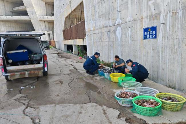 4人下海潛水電魚被當(dāng)場抓獲 非法捕撈再遭嚴(yán)打