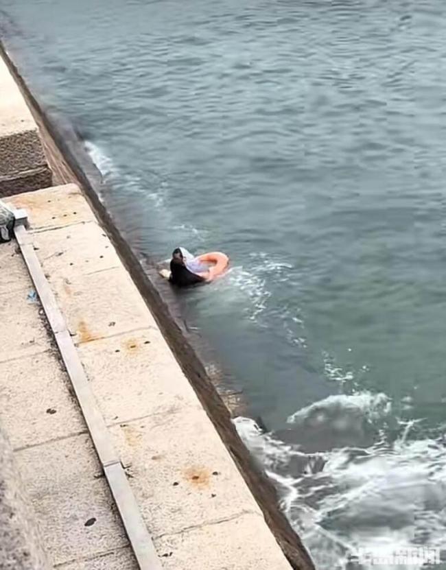 女孩跳海撿手機(jī)溺水路人救人 1分鐘搶回生命