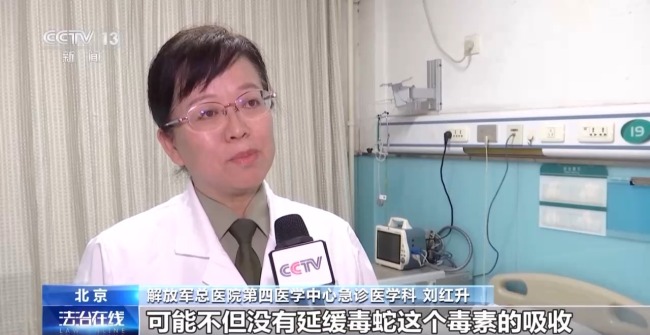 夏季“蛇咬伤”频发 这些常见操作可致截肢！