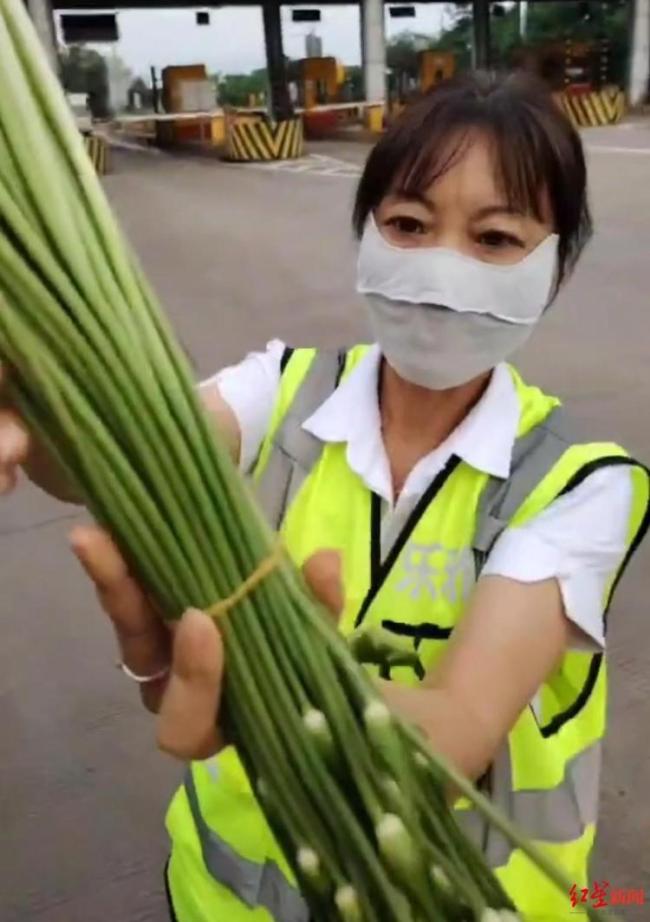 拉韭菜花過收費(fèi)站被收費(fèi)？高速回應(yīng)