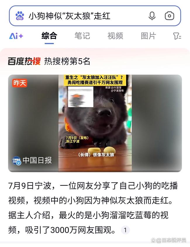 小狗因神似“灰太狼”走紅